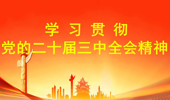 學(xué)習(xí)貫徹黨的二十屆三中全會(huì)精神